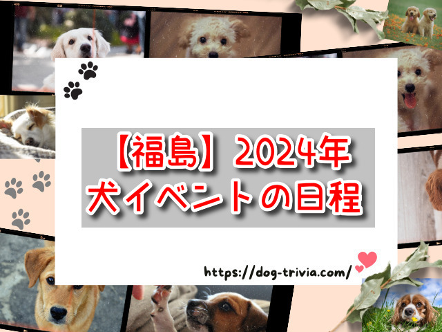 犬イベント　福島県